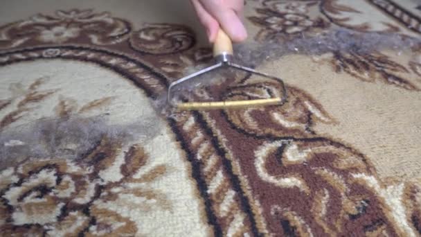 Clean Carpet Wool Hair Special Carpet Cleaning Tool Garbage Wool — Stock Video