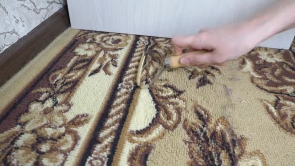 Clean Carpet Wool Hair Special Carpet Cleaning Tool Garbage Wool — Stock Video