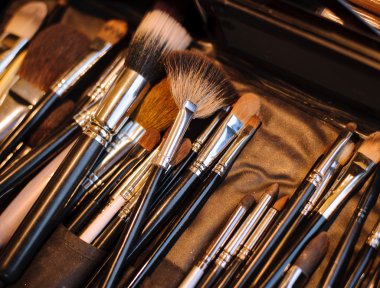 Makyaj fırçaları