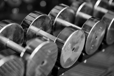 dumbell ağırlık raf üzerinde