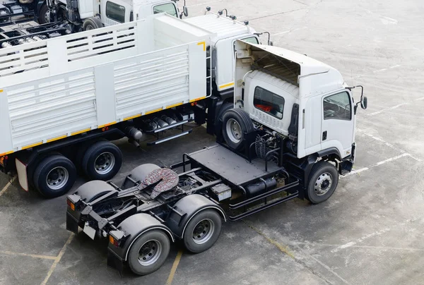 Heads White Semi Trailer Trucks — Stok fotoğraf