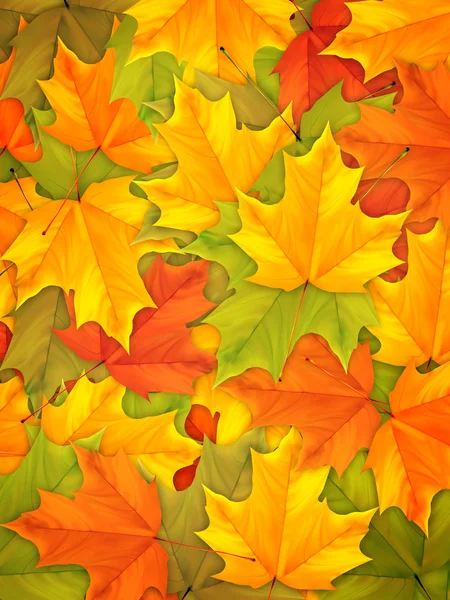 Autumn background — Stock Photo, Image