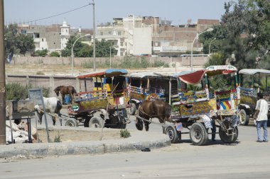 Alexandria, Mısır
