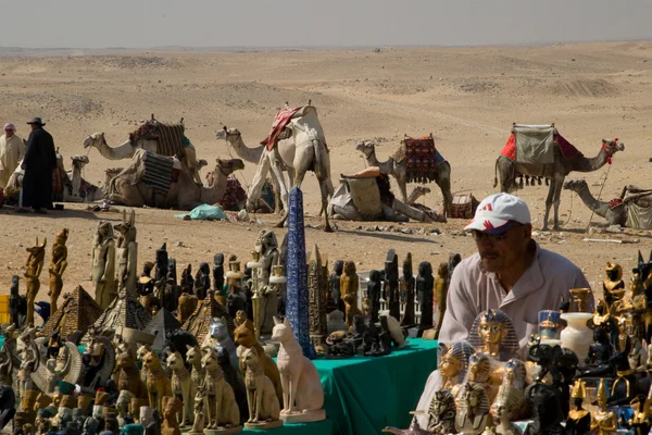 Beduins のラクダ — ストック写真