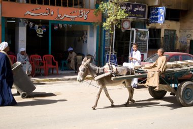 Edfu, Mısır