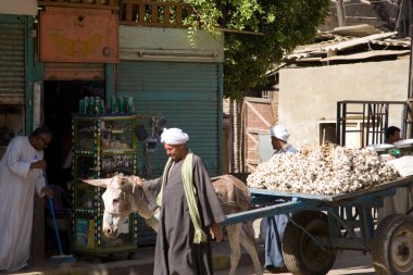 Edfu, Mısır