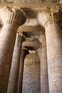 horus Tapınağı