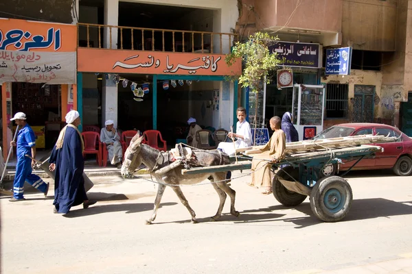 Edfu, Mısır