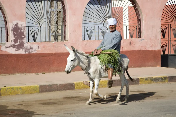 Edfu, Mısır