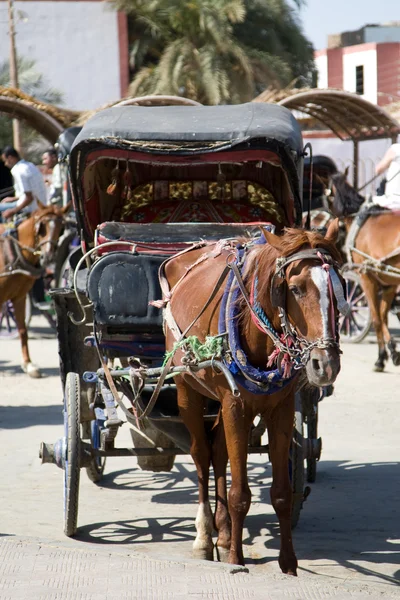 Edfu, Egypte — Stockfoto