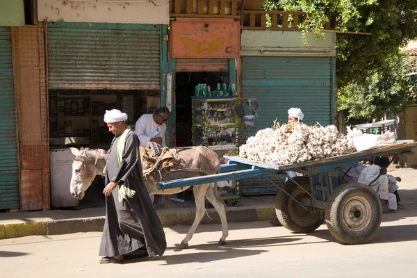 Edfu, Egito Imagem De Stock