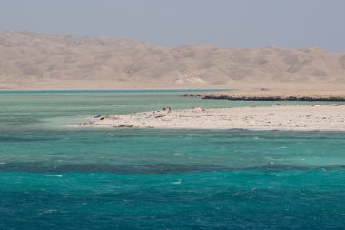 mercan kırmızı deniz Mısır deniz manzarası