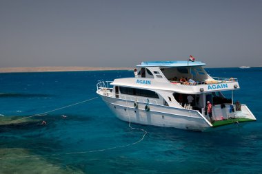 mercan kırmızı deniz Mısır deniz manzarası