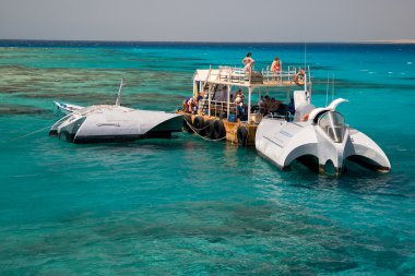 mercan kırmızı deniz Mısır deniz manzarası