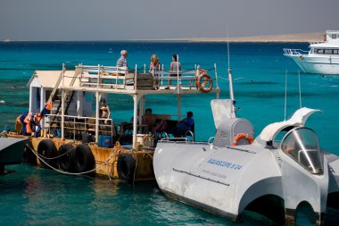 mercan kırmızı deniz Mısır deniz manzarası