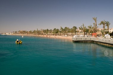 mercan kırmızı deniz Mısır deniz manzarası