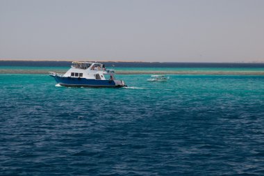 mercan kırmızı deniz Mısır deniz manzarası