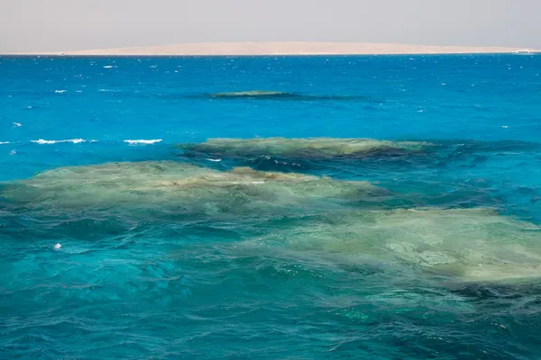サンゴ礁紅海エジプト シースケープ — ストック写真
