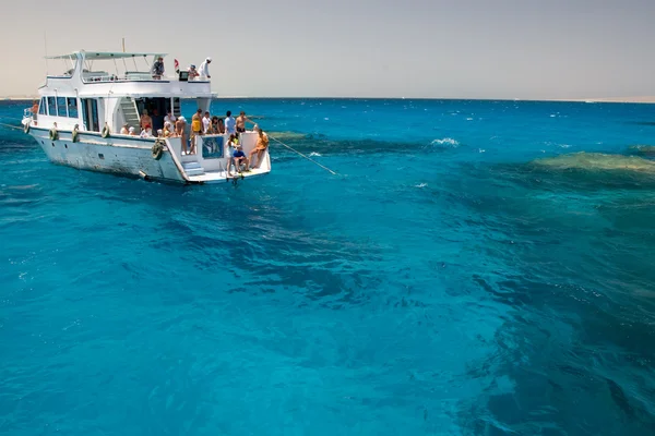 Coral Reef Red Sea Egypt Seascape — Stock Photo, Image