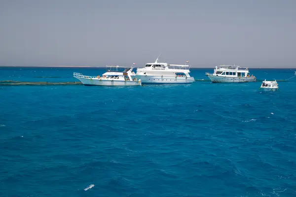 Coral Reef Red Sea Egypt Seascape — Stock Photo, Image