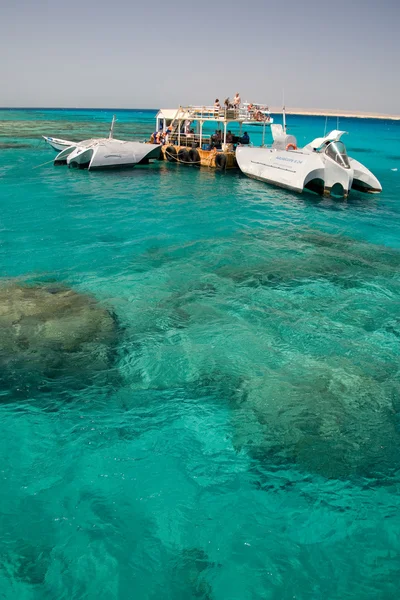 珊瑚礁红海埃及海景 — 图库照片