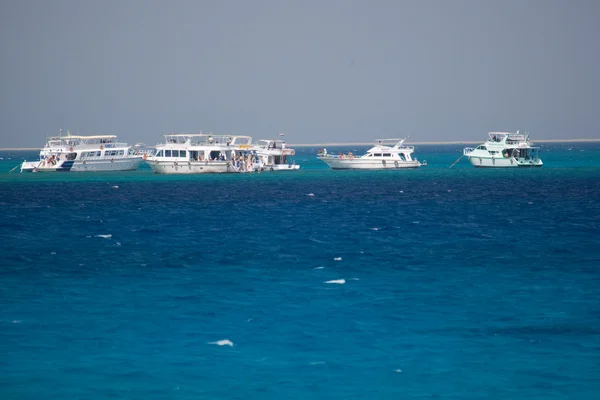 Barriera corallina Mar Rosso Egitto — Foto Stock