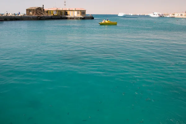 Mercan kırmızı deniz Mısır deniz manzarası — Stok fotoğraf