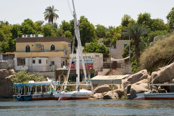 Nile Riverbank — Stock Photo, Image