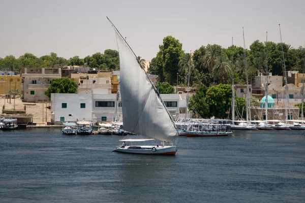 Riverbank du Nil — Photo