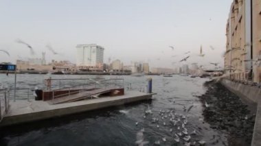 Dubai creek akşam