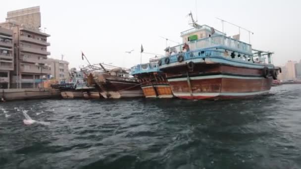 Dubai Creek en soirée — Video