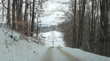 Kışın dağ yolu