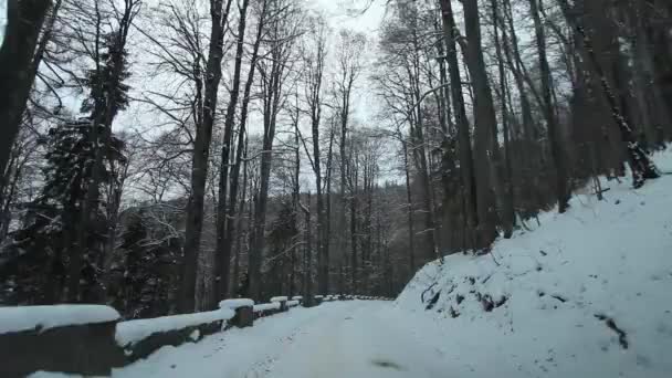 Camino de montaña en invierno — Vídeo de stock
