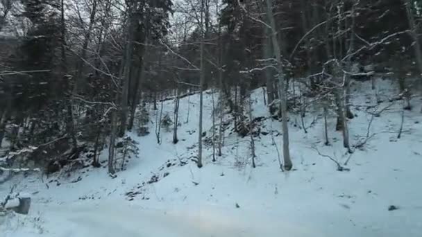 Camino de montaña en invierno — Vídeo de stock