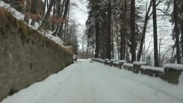 Strada di montagna in inverno — Video Stock
