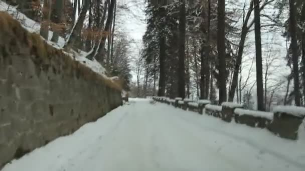 Kışın dağ yolu — Stok video