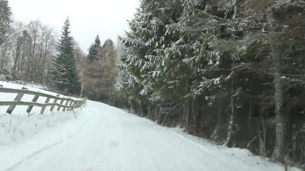 Camino de montaña en invierno — Vídeo de stock