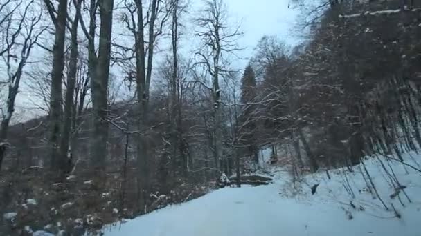 Camino de montaña en invierno — Vídeo de stock