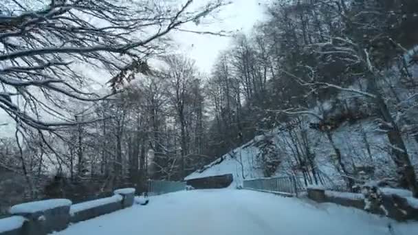 Camino de montaña en invierno — Vídeos de Stock