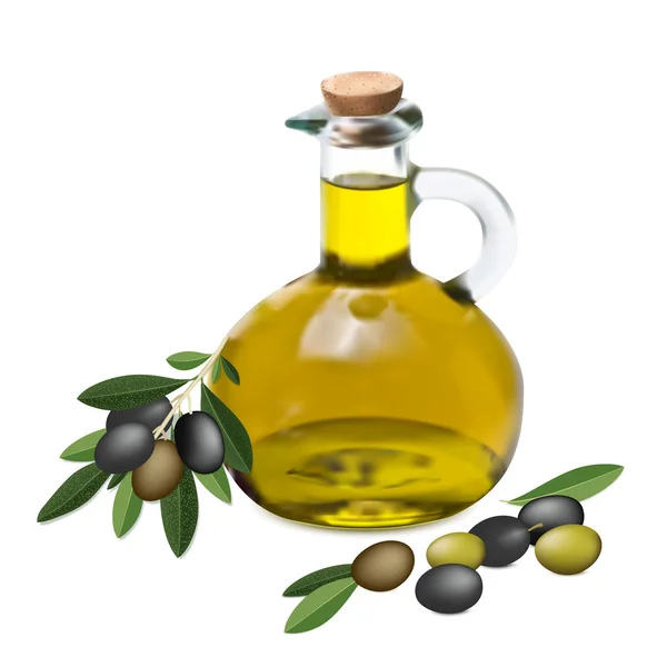 Aceite de oliva y rama de olivo — Vector de stock