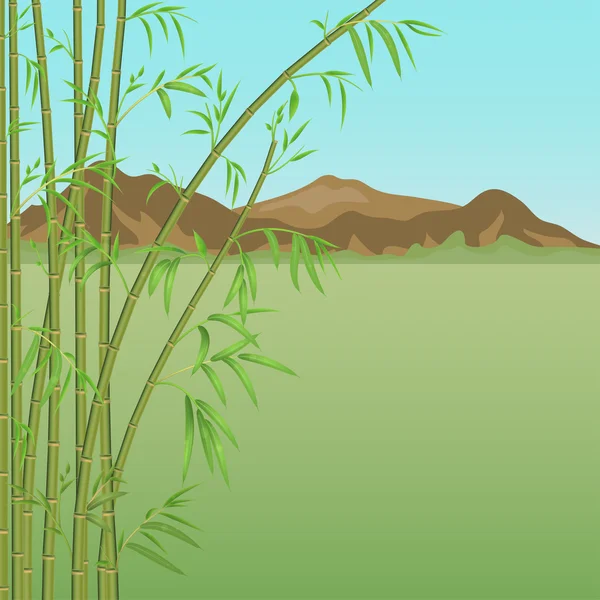 Bamboo and mountains