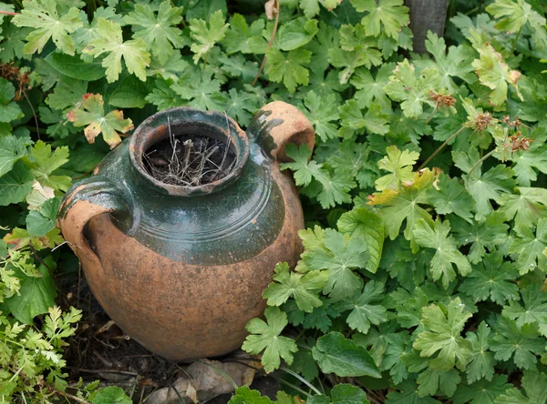 eski amphora