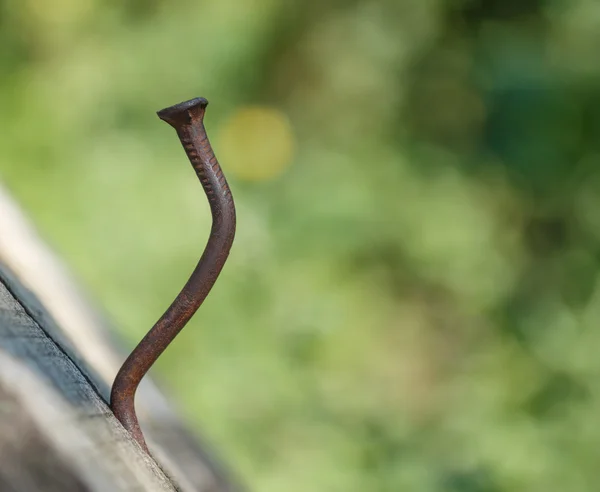 Kromme roestige spijker — Stockfoto