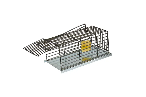 Trap for rats — Stock Photo, Image