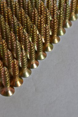 satırları dizilmiş vidalar