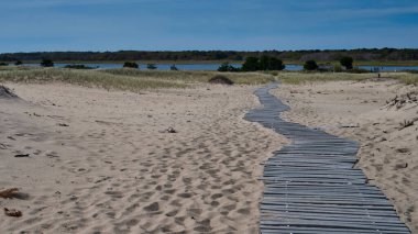 Marthas Vineyard, Massachusetts 'teki Chappaquiddick Adası' ndaki sahile giden tahta patika..