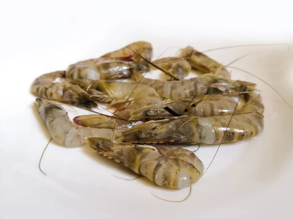 Closeup Image Fresh Raw Shrimp Prawns White Background Selective Focus — Photo