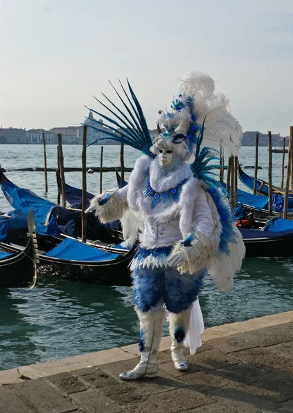 The carnival costume — Stock Photo, Image