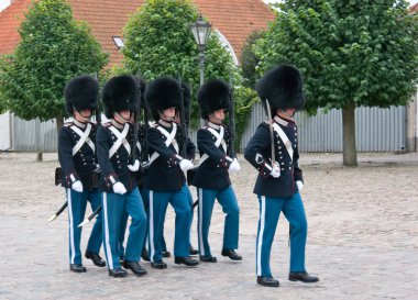 Danimarka Kraliyet hayat koruma