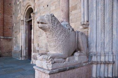 Parma Romanesk aslan